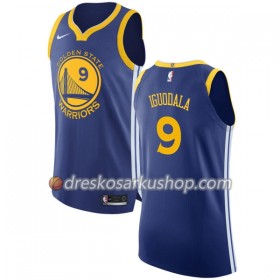 Muški NBA Dres Golden State Warriors Andre Iguodala 9 Nike 2017-18 Plava Swingman